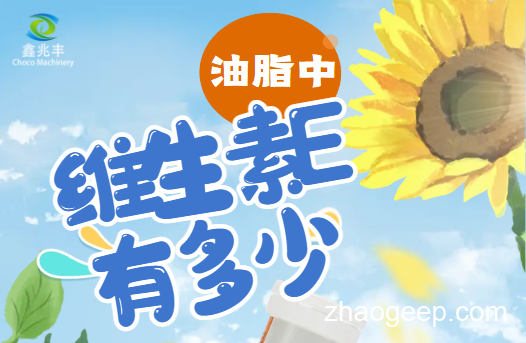 兆格分享：全自動(dòng)液壓榨油機(jī) 維生素E是什么？什么食用油含維生素E高？